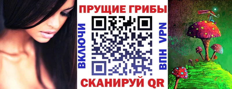 Галлюциногенные грибы GOLDEN TEACHER  ОМГ ОМГ маркетплейс  Высоцк 